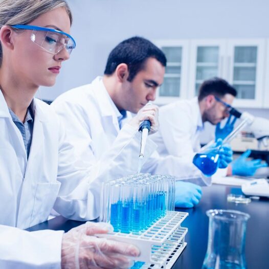 Diplomado en Recursos humanos